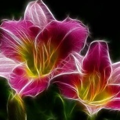 I Don't Feel The Same Way