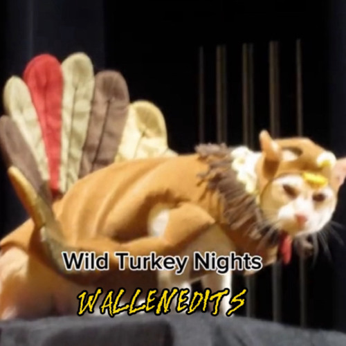 Stream wild turkey nights by WallenEditsMusic Listen online for free on SoundCloud