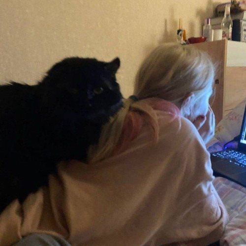 MINECRAFT DEEP NIGHT