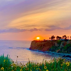 Beautiful Dream