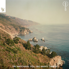 I'm Watching You (So Many Times) (Extended Mix)