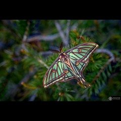 HK_Calm-&-Steady_tracks_270