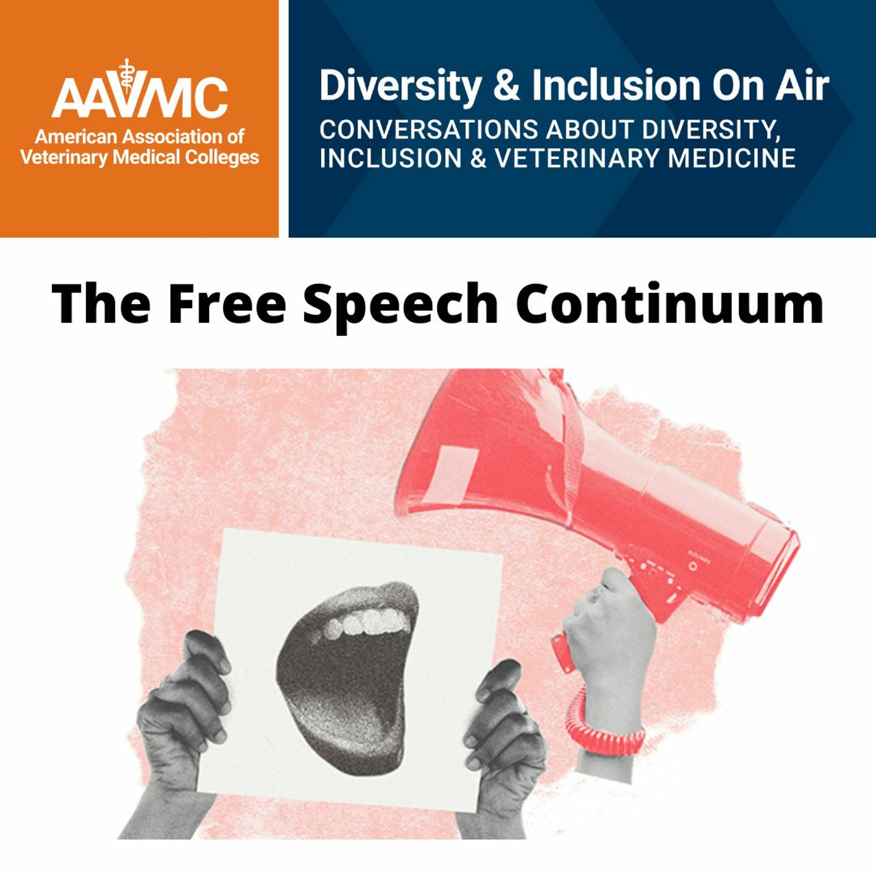 AAVMC\'s On Air: Conversations about Issues in Veterinary Medicine