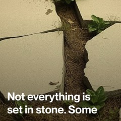 not everything is set in stone.mp3