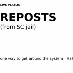 EN_PUNITION_REPOSTS_11