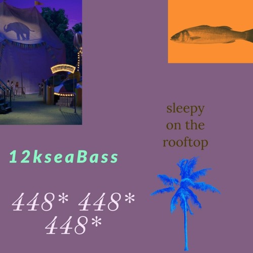 12kseaBass - sleepy on The Rooftop