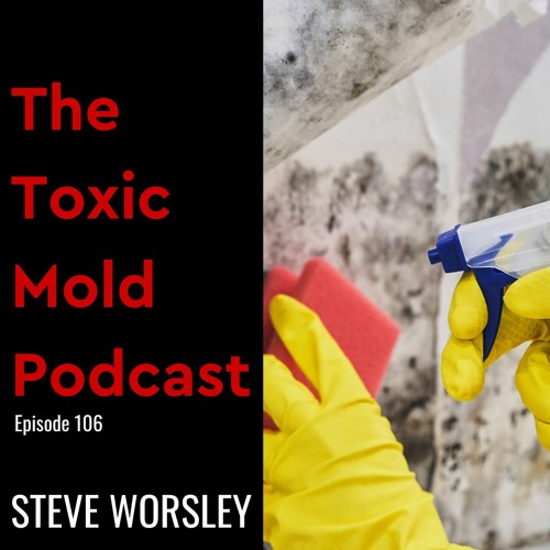 EP 106: What are the Acceptable Amounts of Mold That Someone Can be Exposed to?