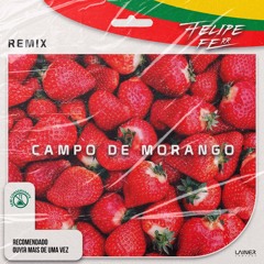 Campo De Morango (Felipe FERR - Funk Remix)