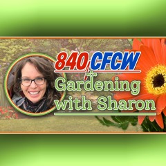 Gardening with Sharon - October 5 - Fall Garden Alter Ego