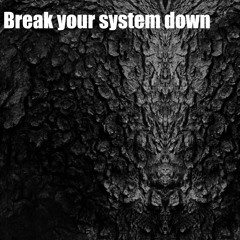 Break Your System Down