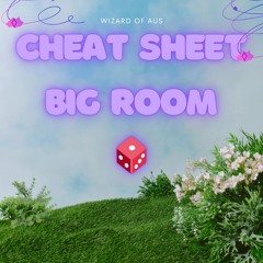 Cheat Sheet - Big Room