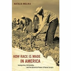 [Read] PDF 📖 How Race Is Made in America: Immigration, Citizenship, and the Historic