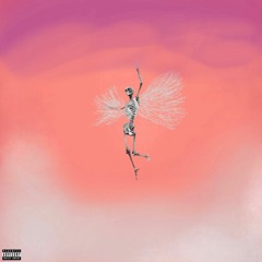 Fly Sh!t Only