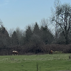 ur wrist is malnourished