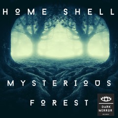 Home Shell - Maps Of The Universe (Original Mix)