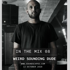In the Mix 08 - Weird Sounding Dude [India]