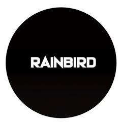 The Outsiders - RAINBIRD edit