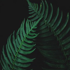 MI△DFUL