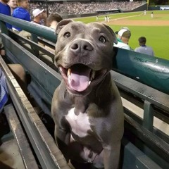 Brm - intheback - prod.diablobeatz