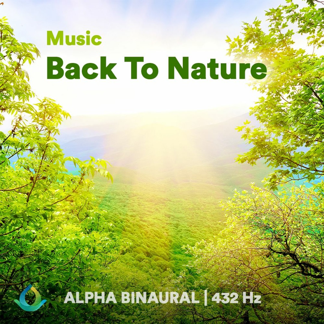 TAHI　3x2 nature sound Amazon.com: Talking Products, PIR Motion Sensor Sound Box with 4