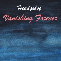 Vanishing Forever (Original Mix)