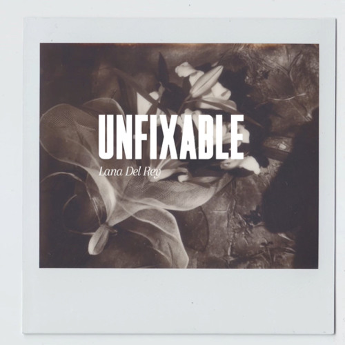 Unfixable (Shades of Cool demo) - Lana Del Rey