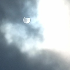 Black and white (Kombi)