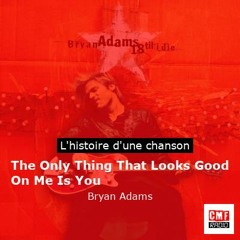 Histoire d'une chanson: The Only Thing That Looks Good On Me Is You par Bryan Adams