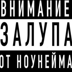 ск манифест снип