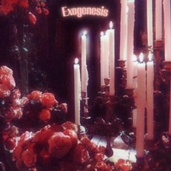 Exogenesis - w/Okami 仝