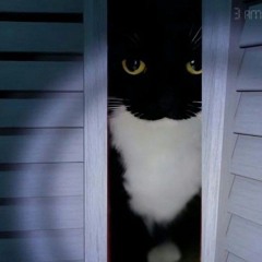 BAD PARENTING FUNK V3