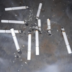 fuck was i supposed to say?