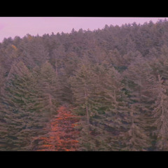 OctaveOrange-Relaxation and Disintegration