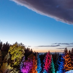 BZRP - Nathy Peluso (Bruno Borlone, Dj Navarro & Señor Kin "BOOTLEG")