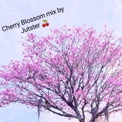 (D&B liquid) Cherry Blossom Spring Mix