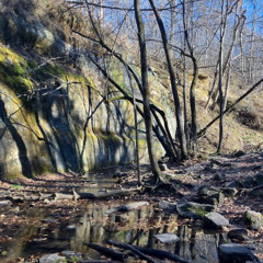 millennium Prod. 2Patient