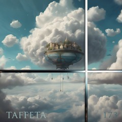 TAFFETA | 173