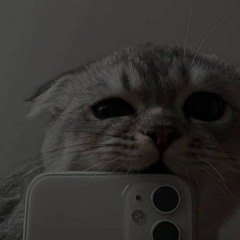 Patches (Ft. neverforever)