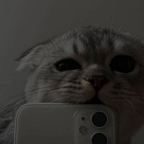 Patches (Ft. neverforever)