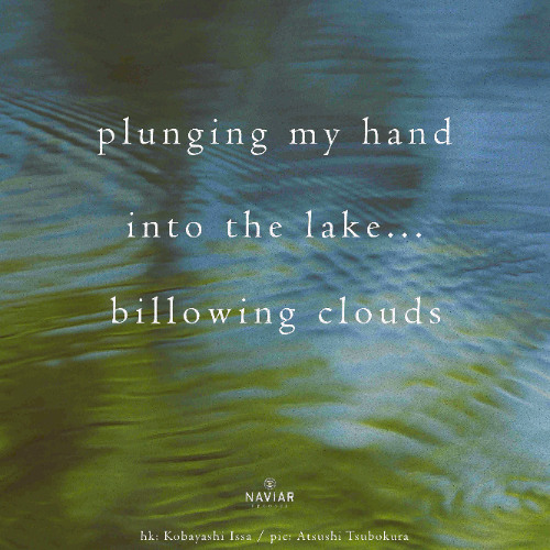 [naviarhaiku581] into the lake
