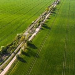 Sommer In Brandenburg
