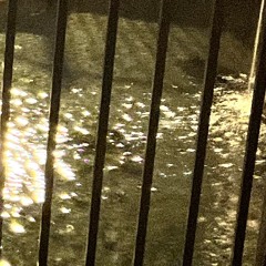 squeeze his tongue *1jeleton*