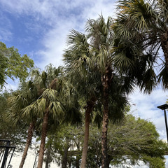 Blue Dreamin (Prod. Coreystax & 1Vist)