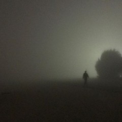 walking