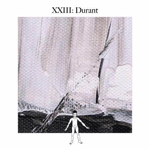 Awareness XXIII: Durant