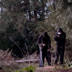 its not to late (Feat. Vertigo)