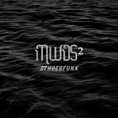 MWDS² - StHörfunk January