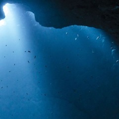 Aquatic Adventure.