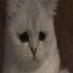Untitled Playlist