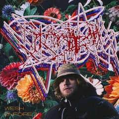 Lesram - Wesh Enfoiré #3 (The Window Remix)